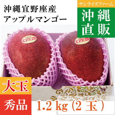直販プレミアムマンゴー【秀品1.2㎏（2玉）】大玉