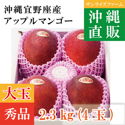 直販プレミアムマンゴー【秀品2.3㎏（4玉）】大玉