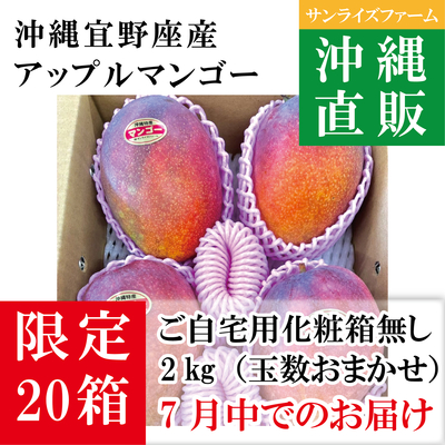 限定20箱 ご自宅用マンゴー【2㎏（玉数おまかせ、7月中のお届け）】
