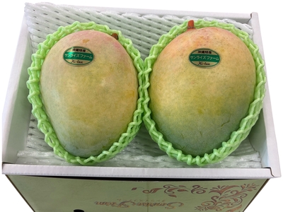 【直販］キーツマンゴー小玉×2 約1.5㎏〔常温発送〕