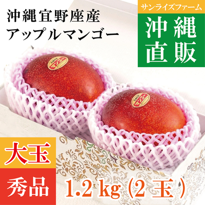 秀品プレミアムマンゴー1.2kg（2玉）大玉