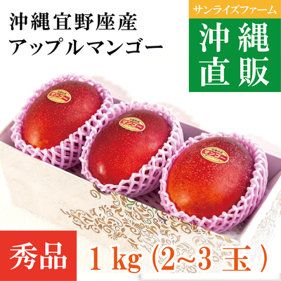 秀品プレミアムマンゴー1kg（2～3玉）