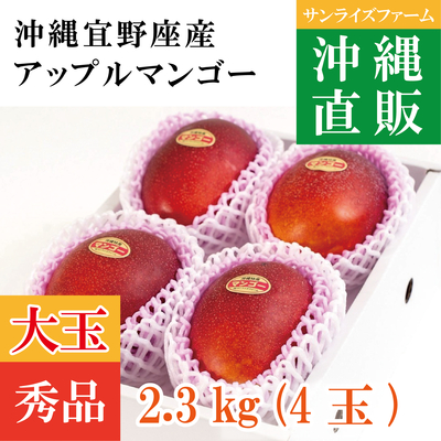 秀品プレミアムマンゴー2.3kg（4玉）大玉