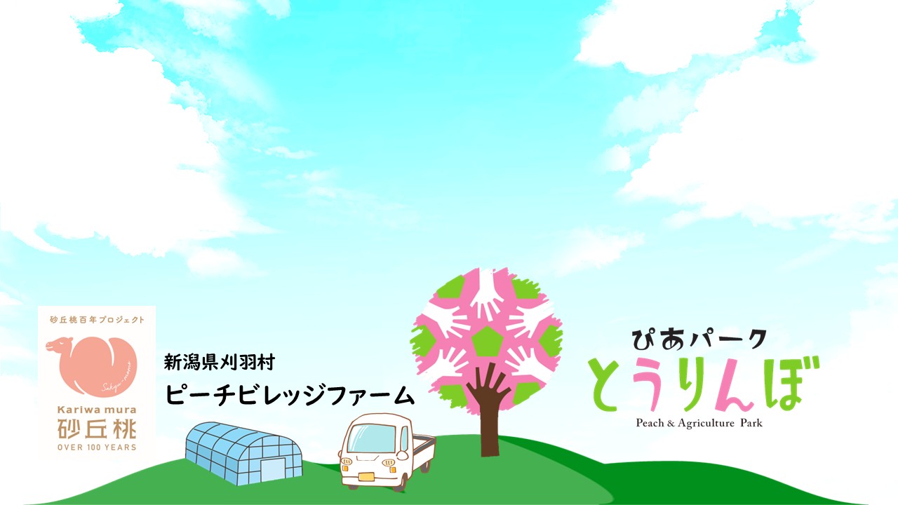 新潟県刈羽村の農家です。