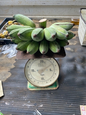 宮古島産アップルバナナ 3kg（栽培期間中農薬不使用）