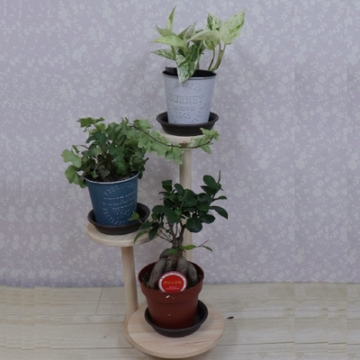 インテリアスタンド　皇
