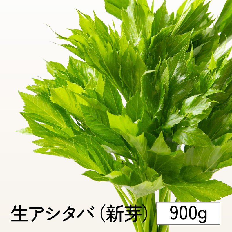 生鮮明日葉（900g/1500g)