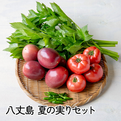 八丈島 夏の実りセット