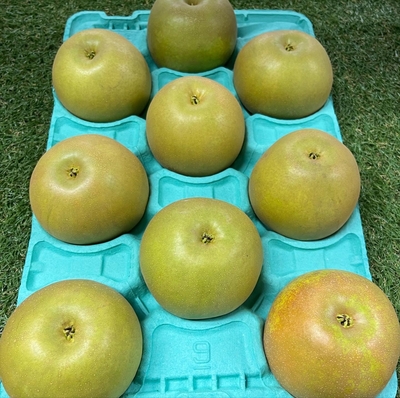 甘太梨（秀・優）（7～9個）5㎏