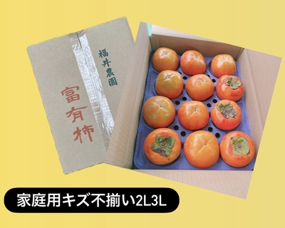 ◎家庭用2L～3Lサイズ12個～10個入り