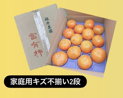 ◎家庭用キズ不揃い2段箱