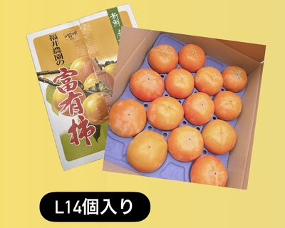 ◎Lサイズ14個入り