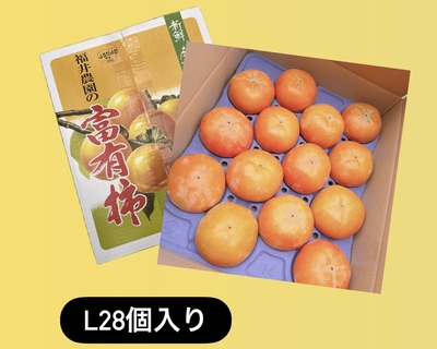 ◎Lサイズ28個入り