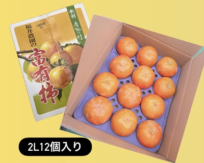 ◎2Lサイズ12個入