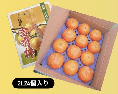 ◎2Lサイズ24個入り