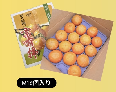 ◎Mサイズ16個入