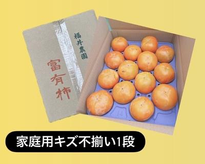 ◎家庭用キズ不揃い1段箱