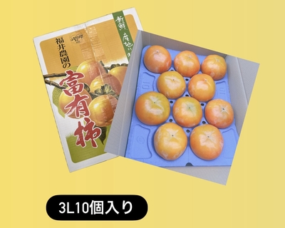 ◎3Lサイズ10個入