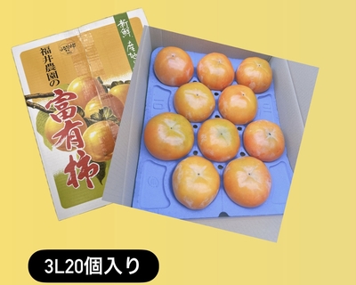 ◎3Lサイズ20個入り