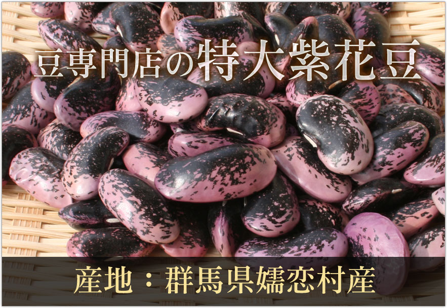 豆専門店の特大紫花豆(群馬県嬬恋村産)