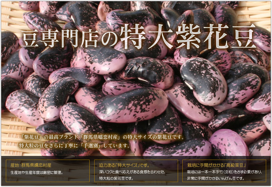 豆専門店の特大紫花豆(群馬県嬬恋村産)