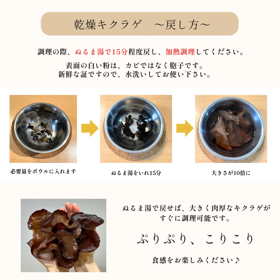 きくらげ きくらげ 8g | セブンプレミアム公式