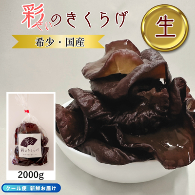 彩のきくらげ 生きくらげ 2000g 【送料無料】