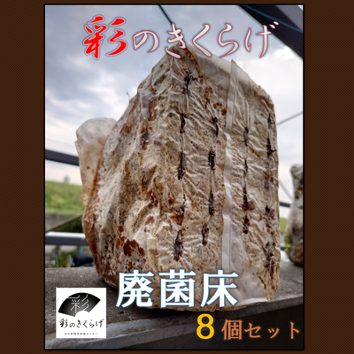 新発売　きくらげ廃菌床　８個セット　【送料無料】