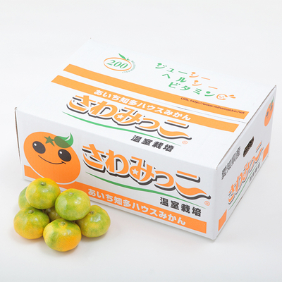 さわみっこ５キロダンボールＳ
