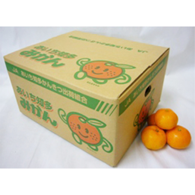 あいち知多みかん赤秀 5kgDB M