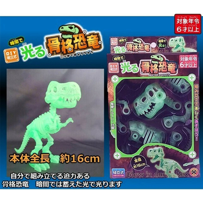 光る骨格恐竜