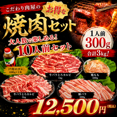 BBQ10人前セット