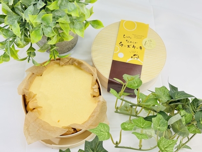 しっとりなめらかチーズケーキ