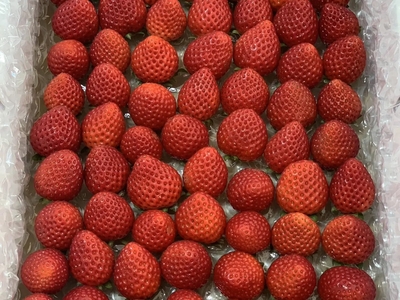 【希少あまりん】小粒たっぷり１Kg 朝採れ！