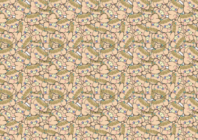 DP37　ひまわりぷに