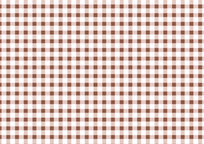 DP169　ギンガムチェック