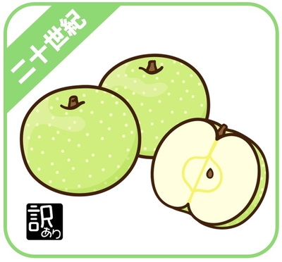 自家用 二十世紀 2.5kg 2箱　
