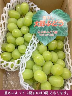 山本園　シャインマスカットセット（8/5より）