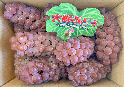 池田ぶどう園　デラウエア（約1.5㎏　中サイズ8房前後）