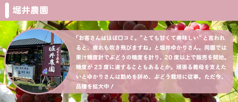 堀井農園