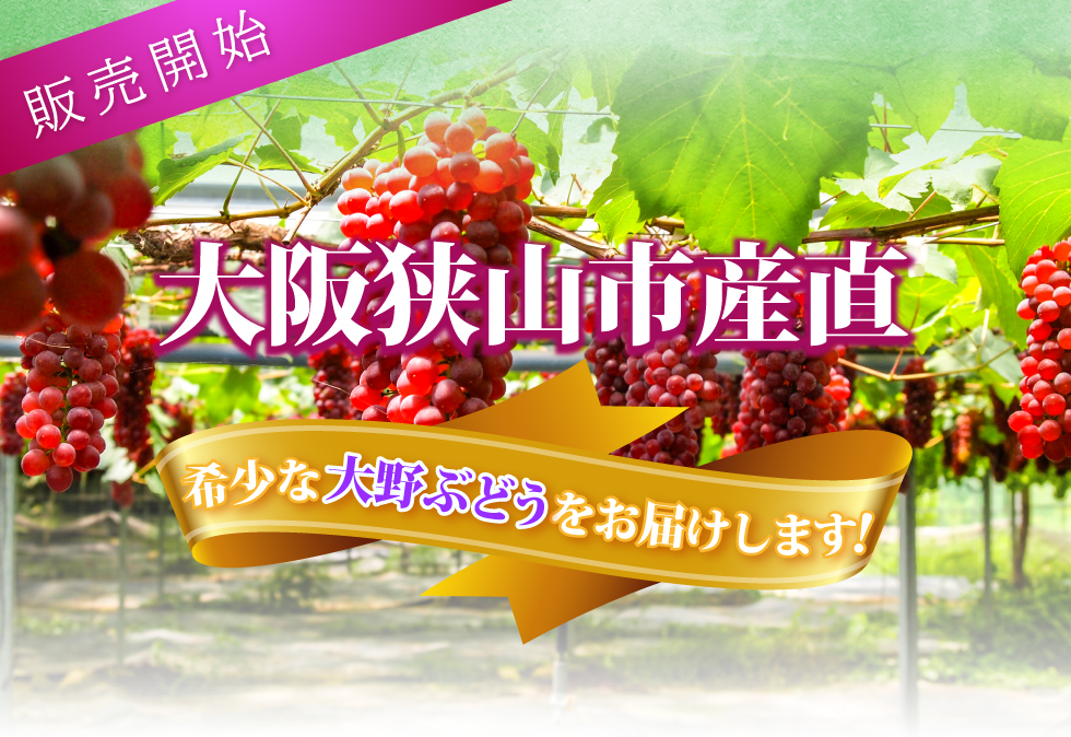 大阪狭山市産直大野ぶどう販売開始
