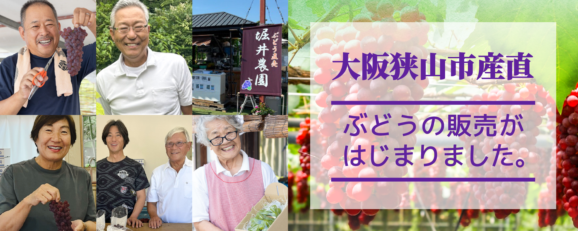 大阪狭山市産直・希少な大野ぶどうをお届けします！