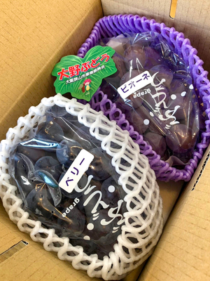 池田ぶどう園　ピオーネとベリーの大粒ぶどうセット（約1kg）