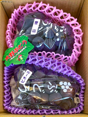 池田ぶどう園　巨峰とピオーネの大粒ぶどうセット（約1kg）