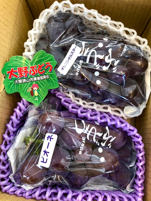 池田ぶどう園　オリエンタルスターとピオーネの大粒ぶどうセット（約1kg）