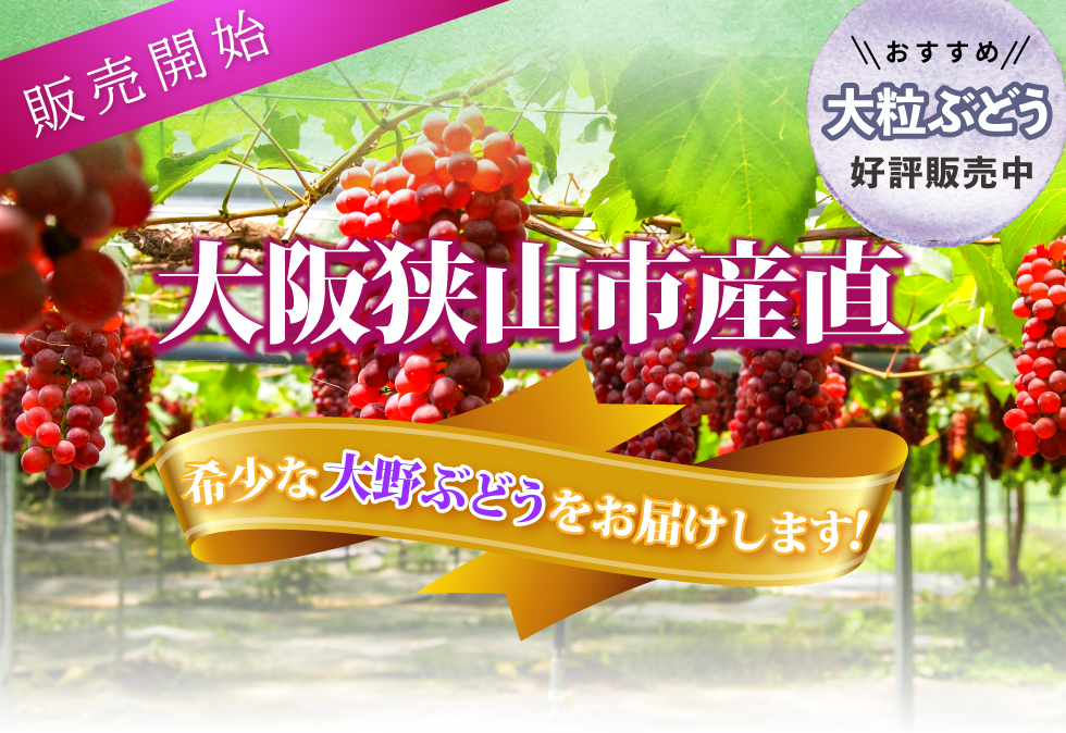 大阪狭山市産直大野ぶどう販売開始