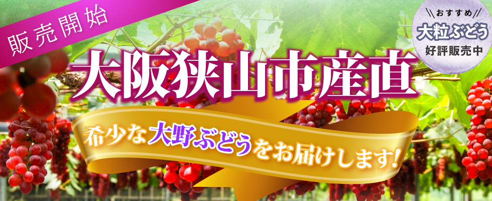 大阪狭山市産直大野ぶどう・大粒ぶどう好評販売中