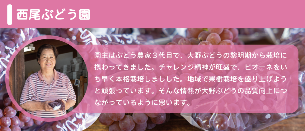 西尾ぶどう園