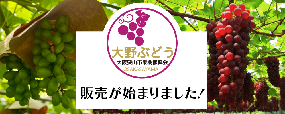 大阪狭山クラフトビール　さやま日和