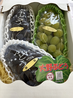 （明）池田農園のシャインマスカット＆大粒ぶどうお任せセット